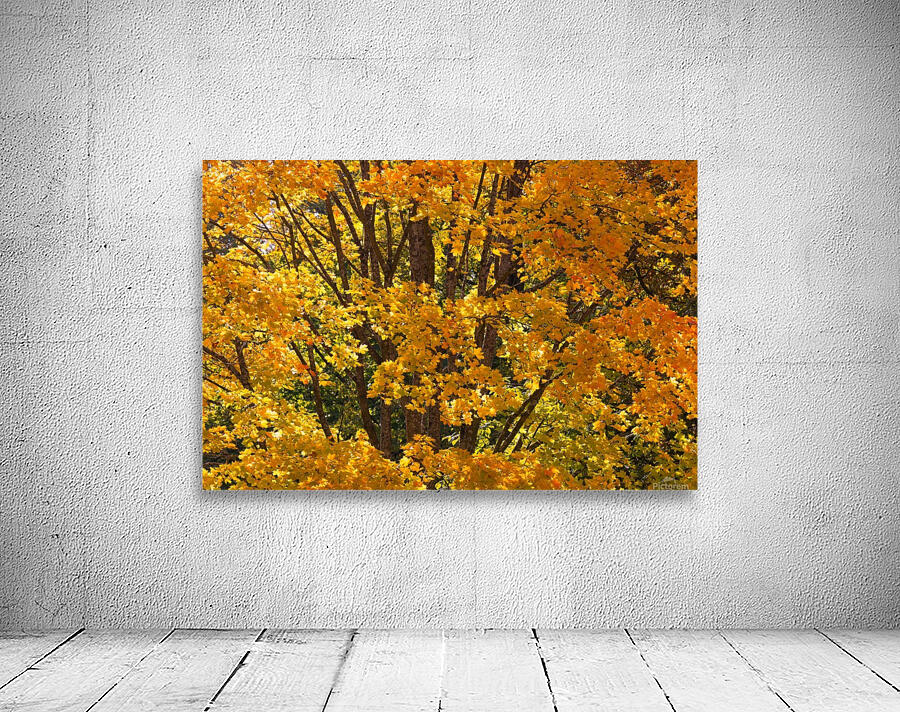 AUTUMN 03 Wall Preview