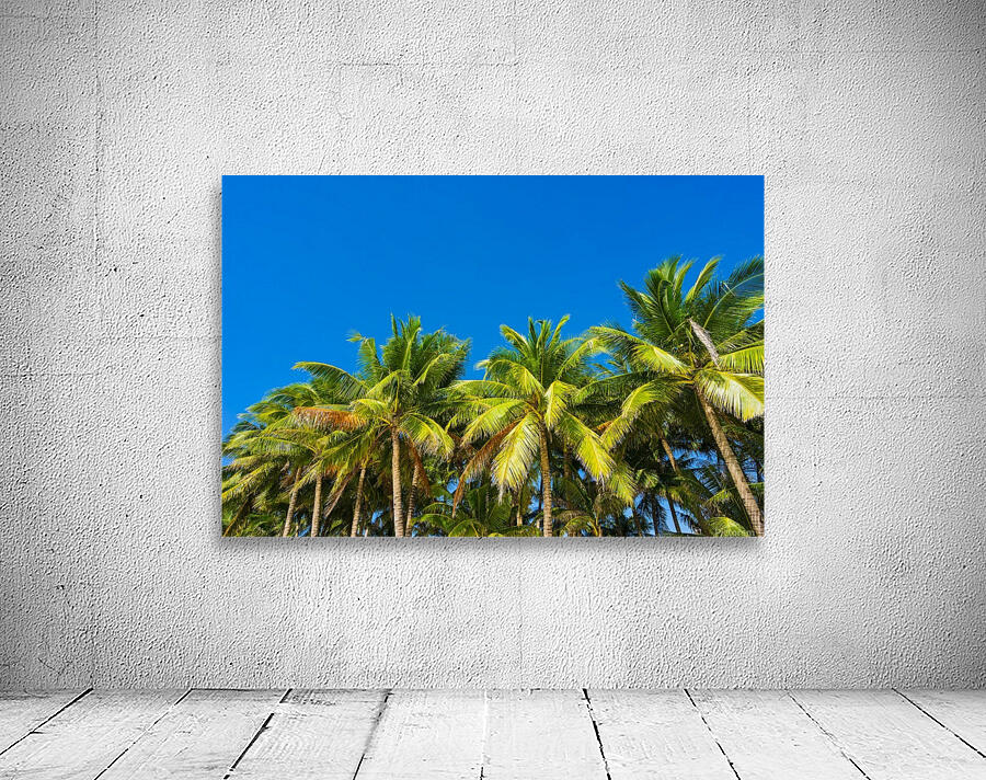 BORACAY 07 Wall Preview