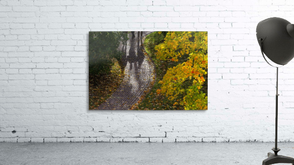 AUTUMN 02 Wall Preview