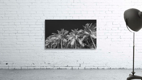 BORACAY 11 Wall Preview