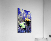 Leaves on Blue Acrylic Print