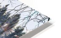This Dream HD Metal print