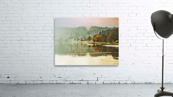 Color Cove Wall Preview