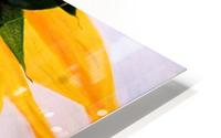 KK's SUNFLOWERS HD Metal print