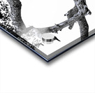 SPOTTED Acrylic print