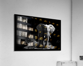 SPLASH Acrylic Print