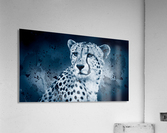 WINTER Acrylic Print