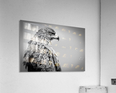 EAGLE EYE Acrylic Print