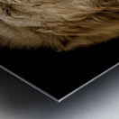 MAJESTIC Metal print