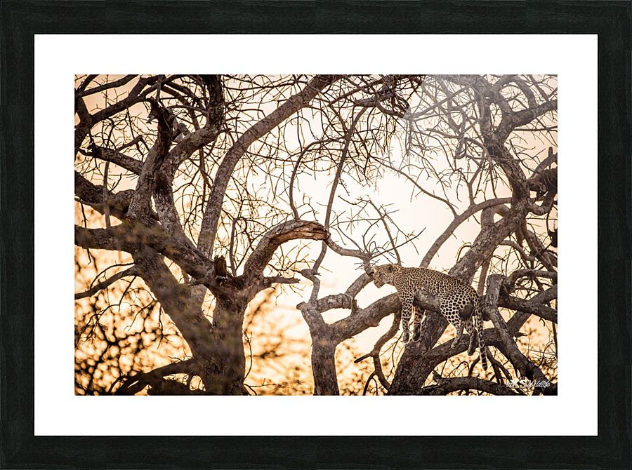 SUNSET CHILL Picture Frame print