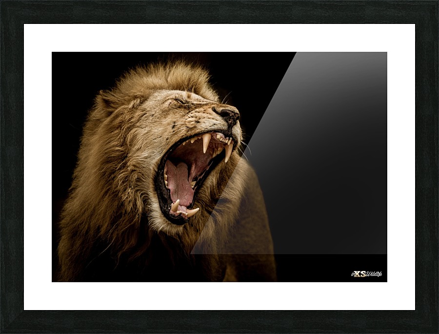 MAJESTIC Picture Frame print