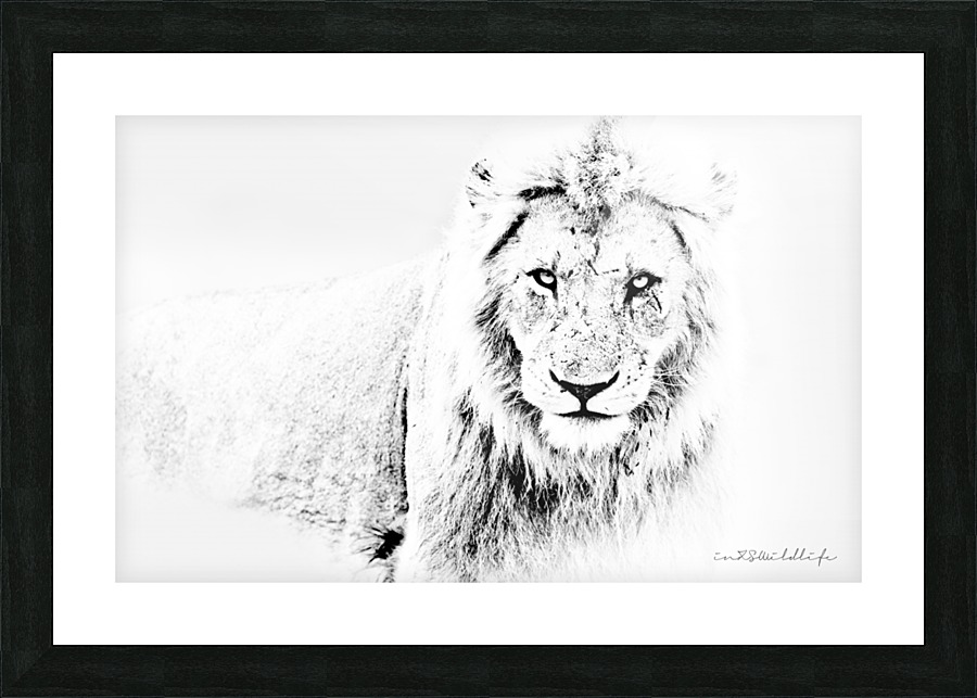 DEADLY LOOK Picture Frame print