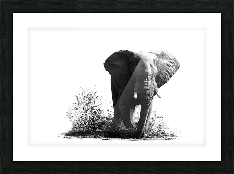 SPLASH Picture Frame print