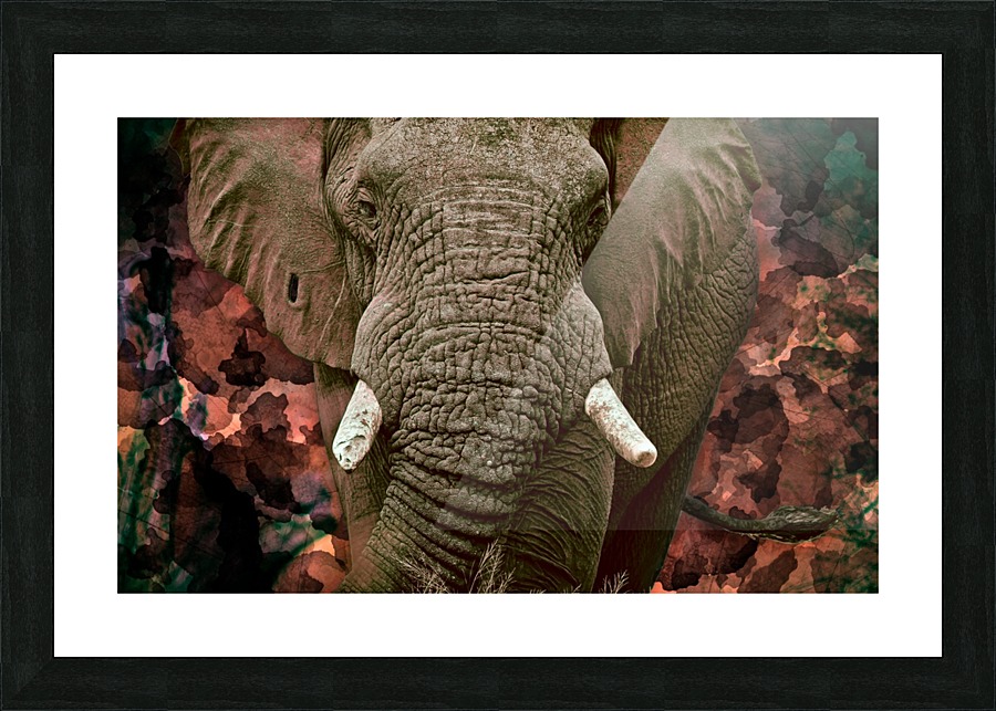 AUTUMN Picture Frame print