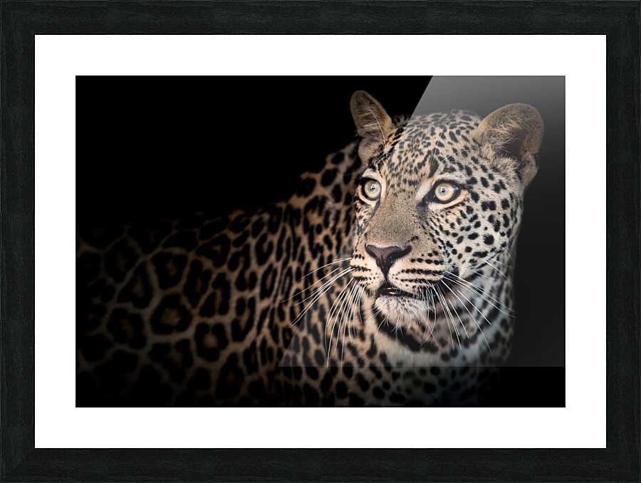 ELUSIVE Picture Frame print