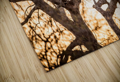 SUNSET CHILL inXS Wildlife puzzle
