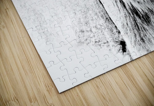 DEADLY LOOK inXS Wildlife puzzle
