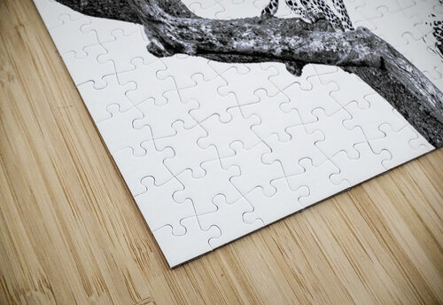 SPOTTED inXS Wildlife puzzle