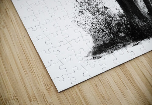 SPLASH inXS Wildlife puzzle