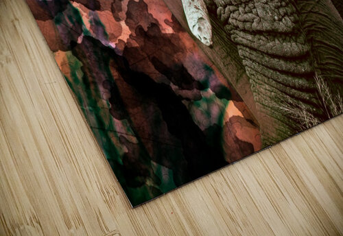 AUTUMN inXS Wildlife puzzle