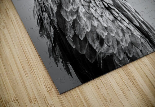 EAGLE EYE inXS Wildlife puzzle