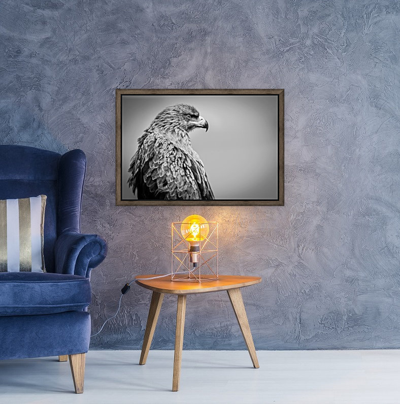 EAGLE EYE Reproduction