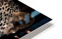 ELUSIVE HD Metal print