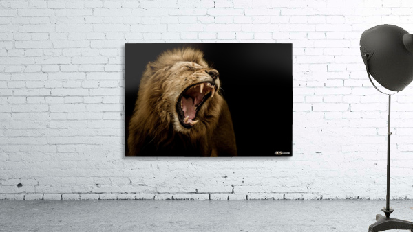 MAJESTIC Wall Preview