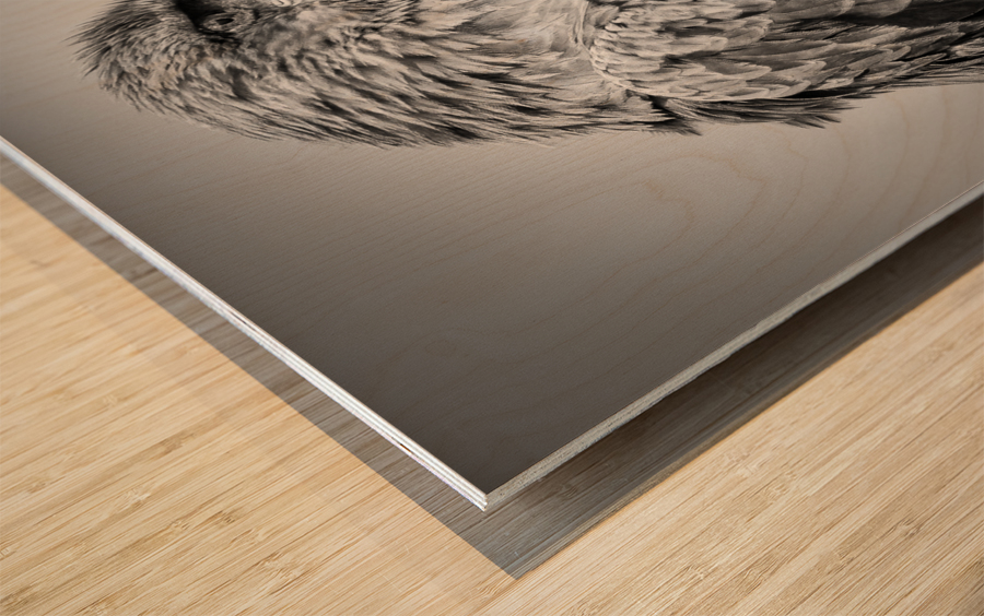 EAGLE EYE Wood print