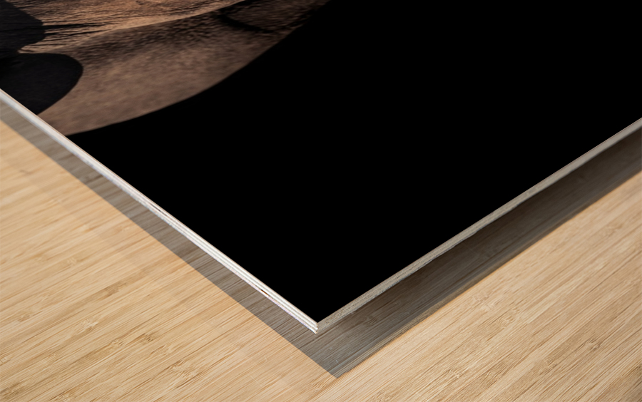 BRAVE Wood print