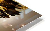 Color Series: Eagle HD Metal print