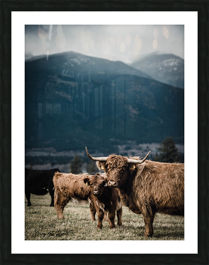 Changing Seasons Picture Frame print