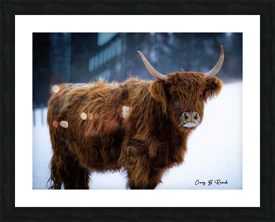 Subzero Picture Frame print