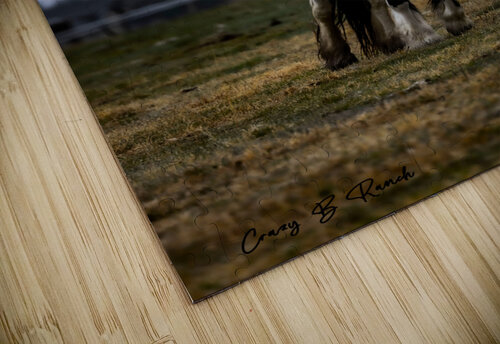 Versace Crazy B Ranch puzzle