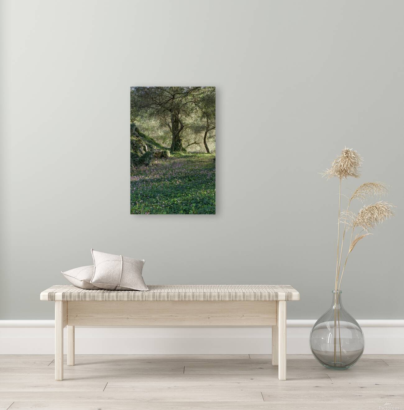 Olive Fields — Corfu Greece Reproduction