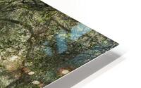 Olive Fields — Corfu Greece HD Metal print