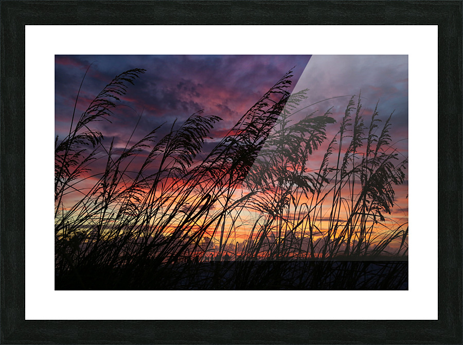 Seagrass Sunset Picture Frame print