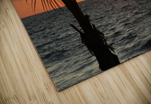 Goodnight Sunshine CA Ganley puzzle