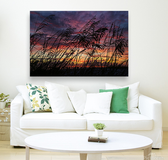 Seagrass Sunset Reproduction