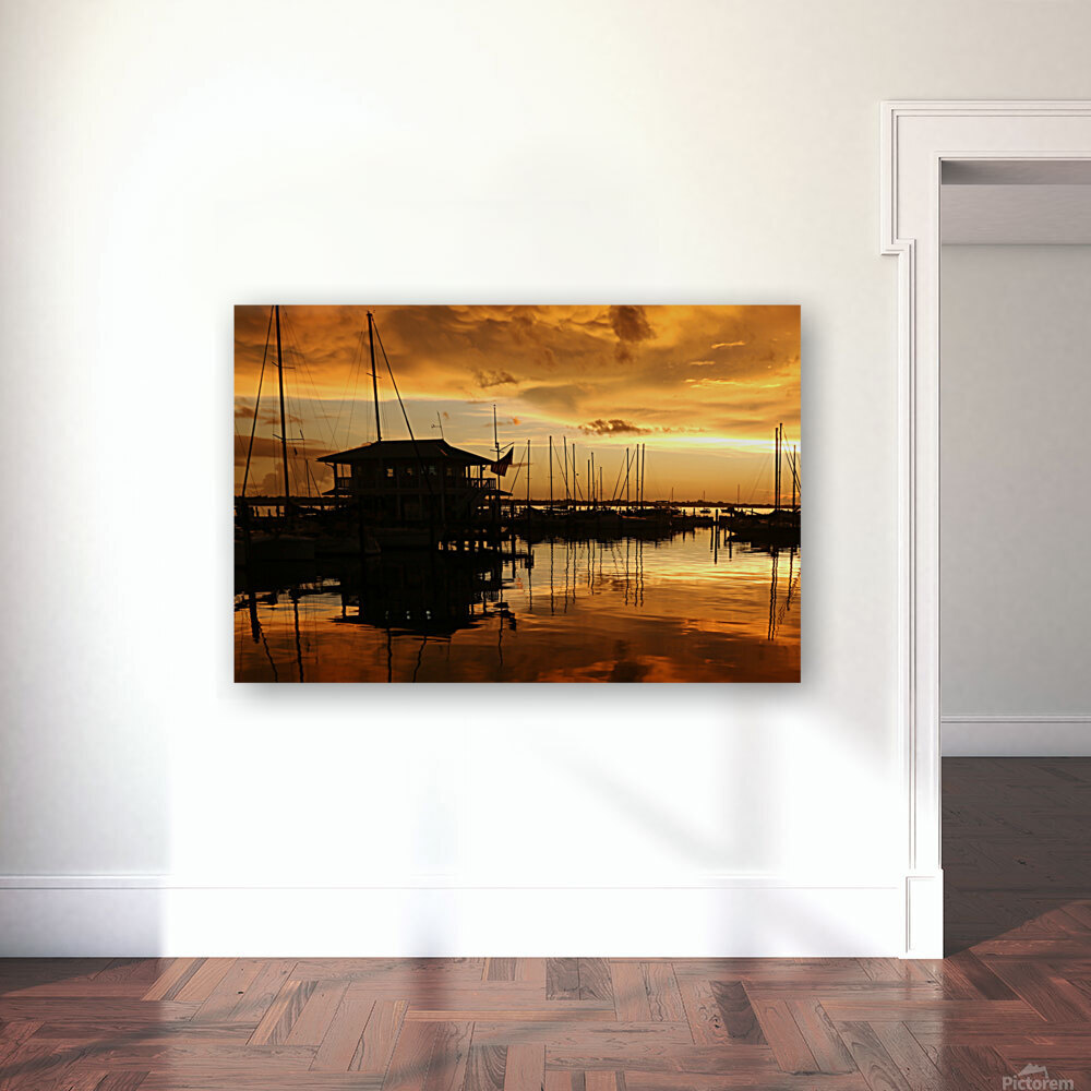 Silhouette Sunset Reproduction
