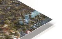 Hidden Glory HD Metal print