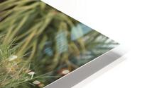 Feast HD Metal print