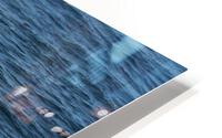Splash HD Metal print