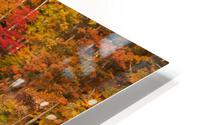 When Summer Goes HD Metal print