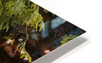 Spring Thaw HD Metal print