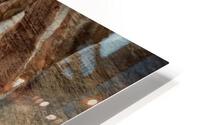 Willis Canyon HD Metal print