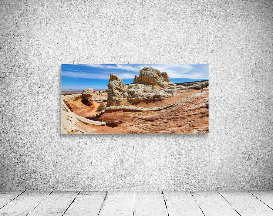 Mars on Earth Wall Preview