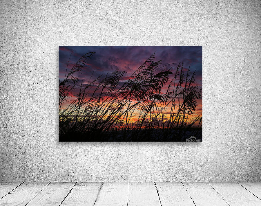 Seagrass Sunset Wall Preview