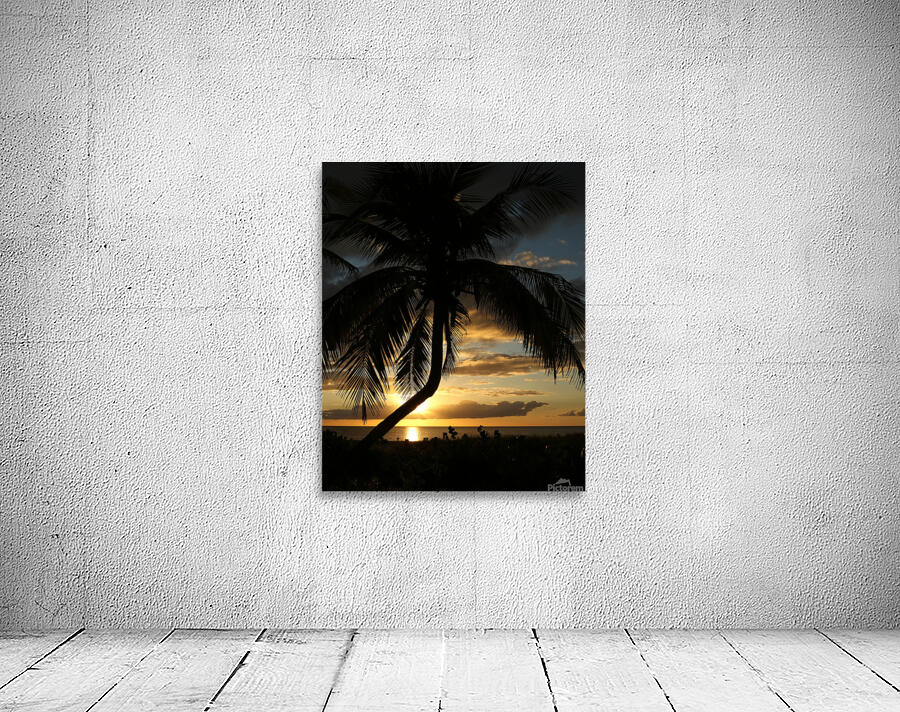 Golden Hour Wall Preview