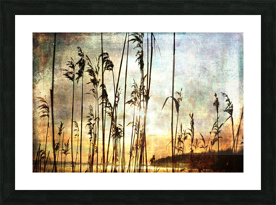 Apricity Picture Frame print